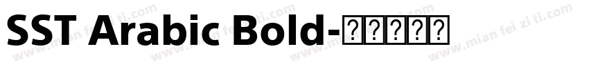 SST Arabic Bold字体转换